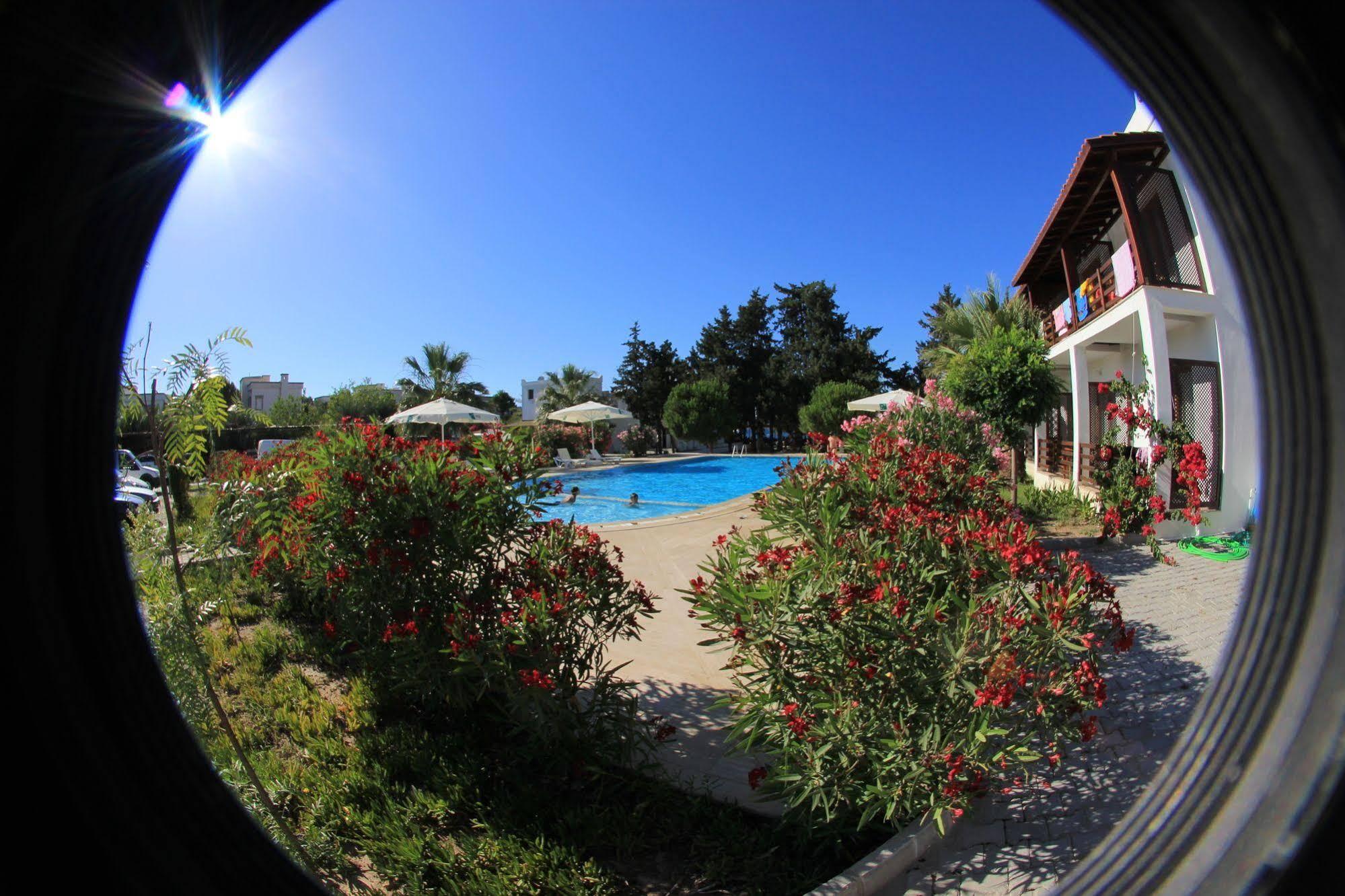 Selvi Beach Hotel Türkbükü Extérieur photo