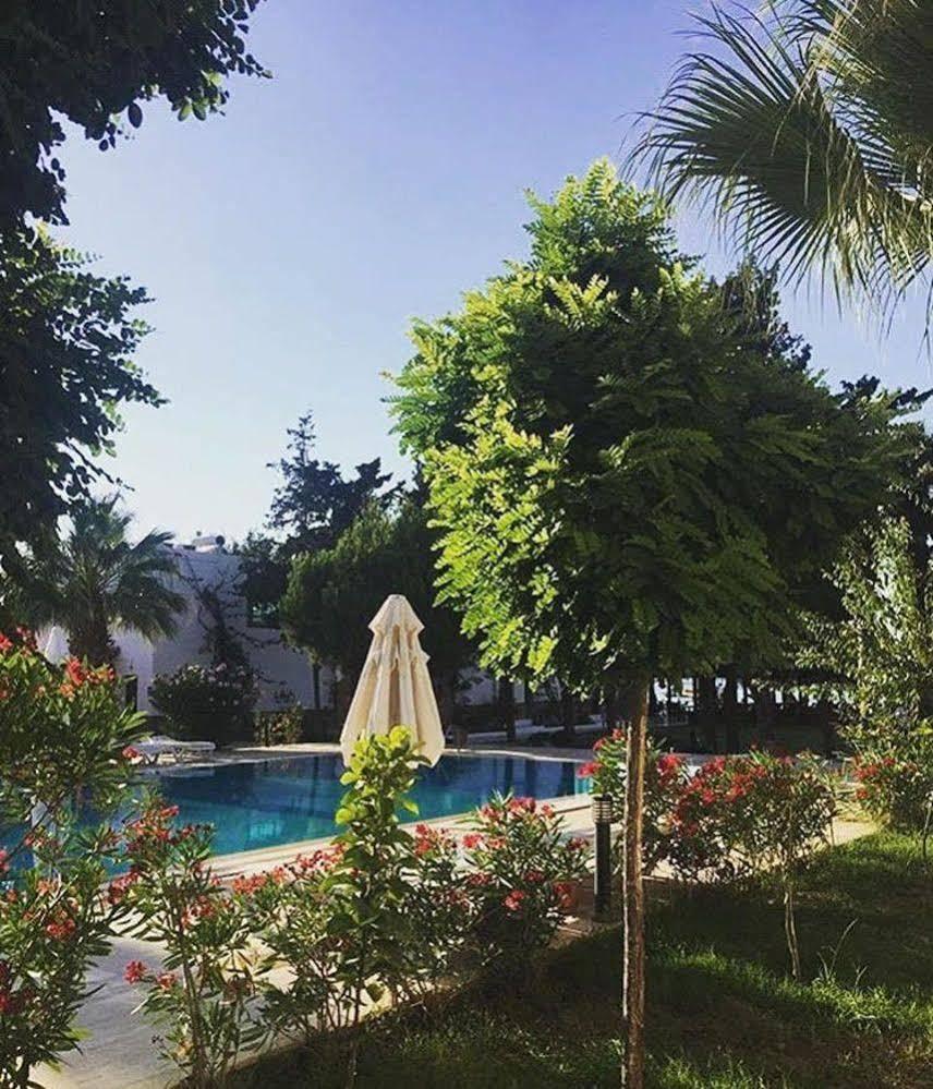 Selvi Beach Hotel Türkbükü Extérieur photo