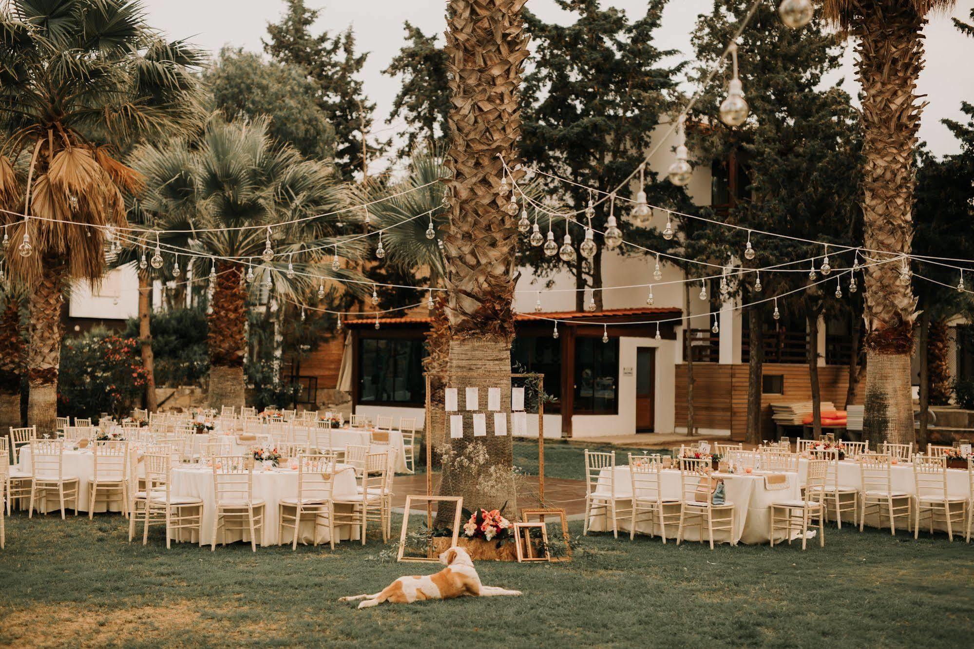 Selvi Beach Hotel Türkbükü Extérieur photo