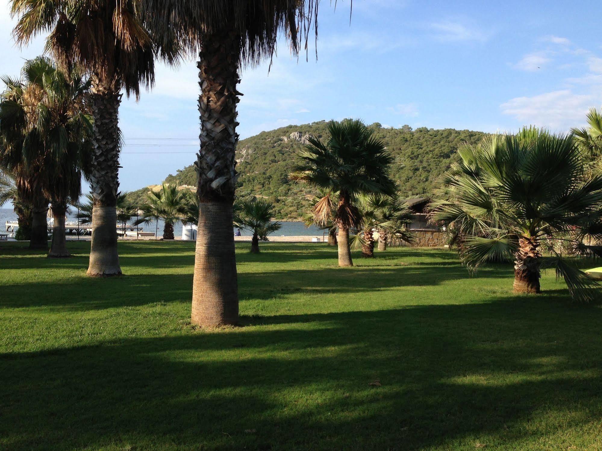 Selvi Beach Hotel Türkbükü Extérieur photo